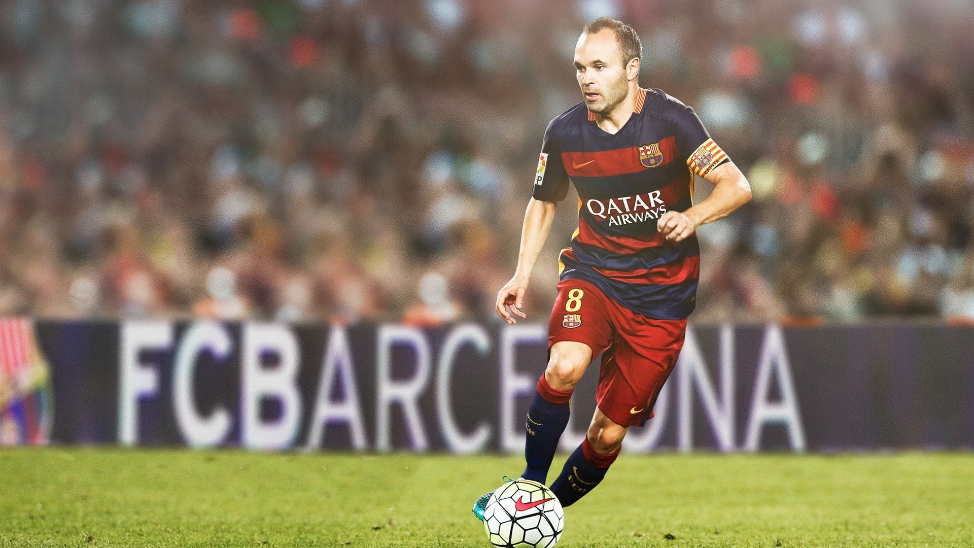 南非羚羊队防守担当:皮特·斯图斯无愧为世界最佳后排,南非羚羊皮可以干嘛用