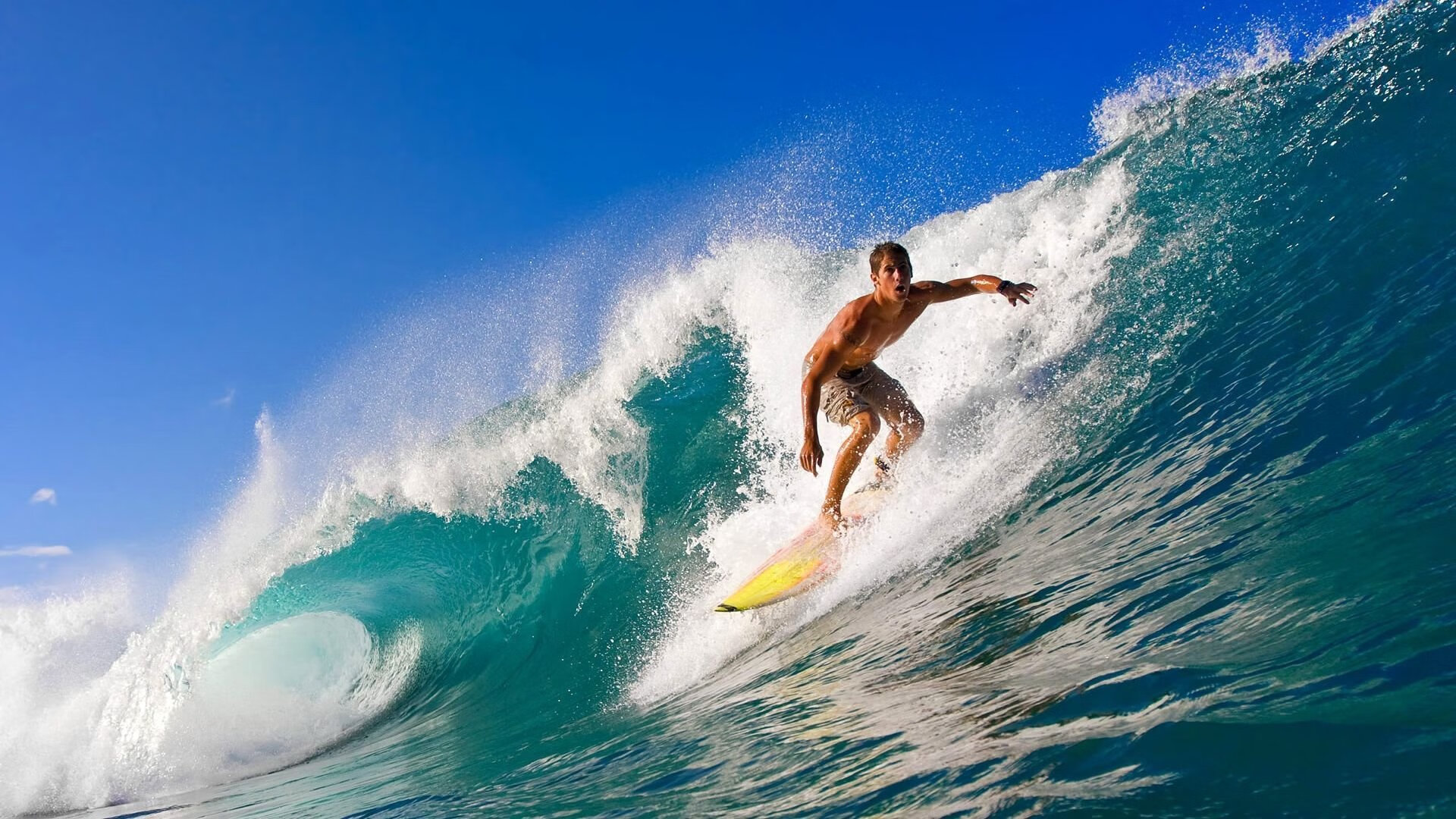 体育新闻中心构建赛事转播数据内容集成系统，体育赛事转播涉及哪些知识产权